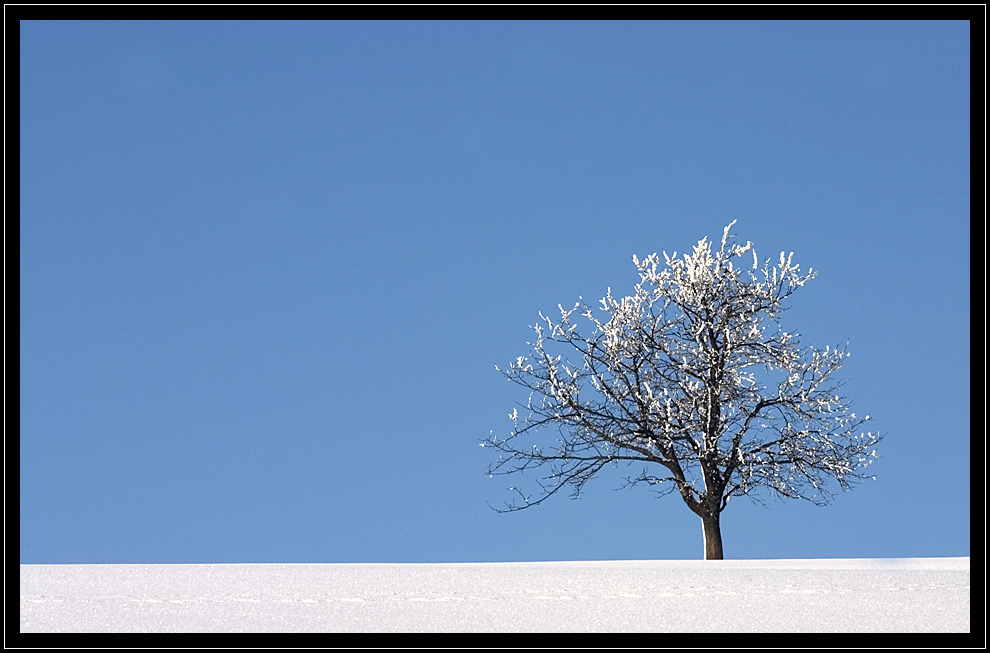 Einsam am Horizont