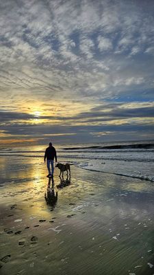 Einsam am Strand....