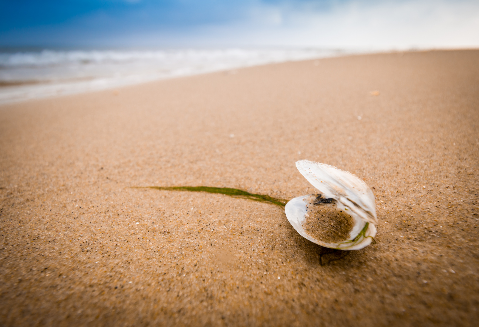 Einsam am Strand