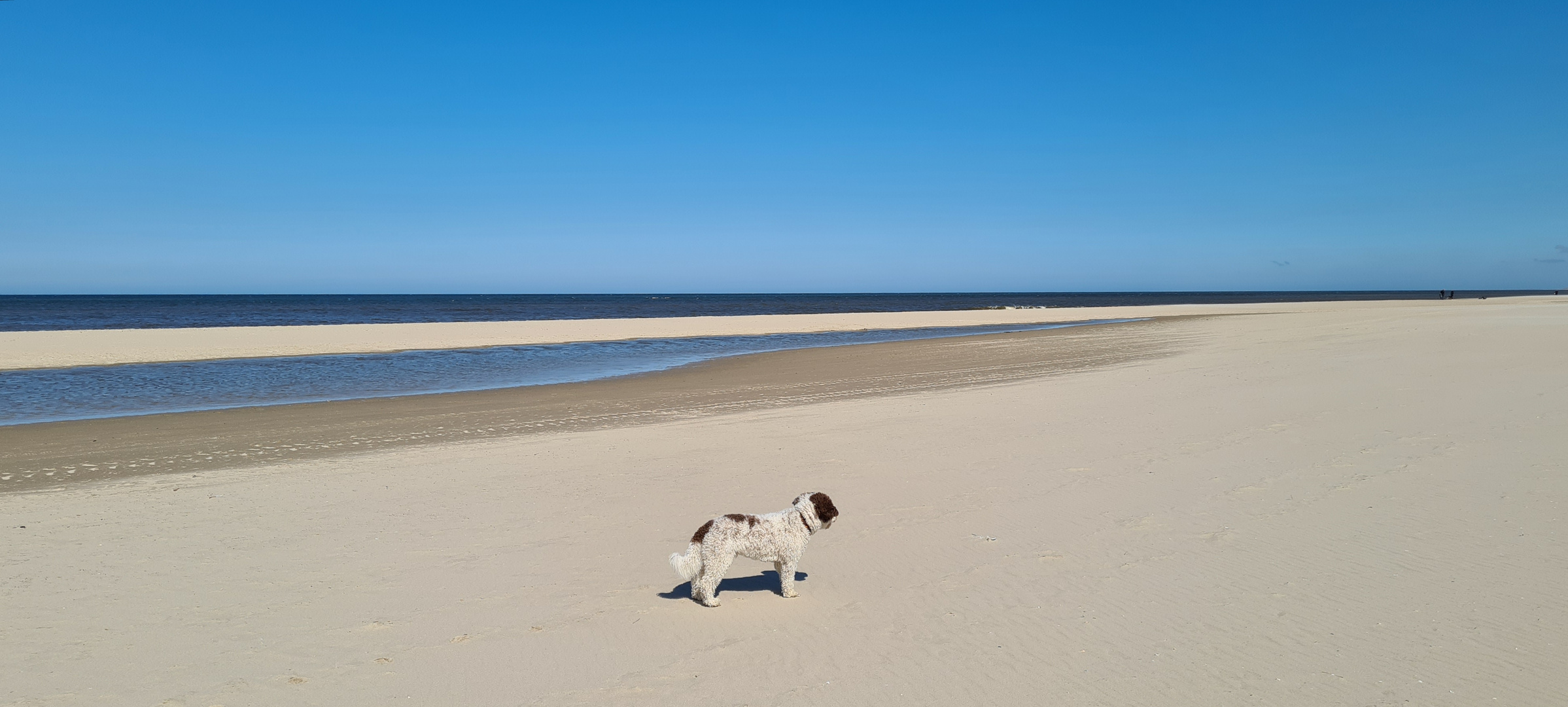 einsam am Strand