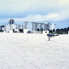 Einsam am Strand (Panama City Beach)