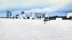 Einsam am Strand (Panama City Beach)