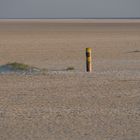 Einsam am Strand von St.Peter Ording