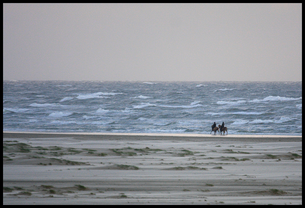 Einsam am weiten Strand von Fanoe