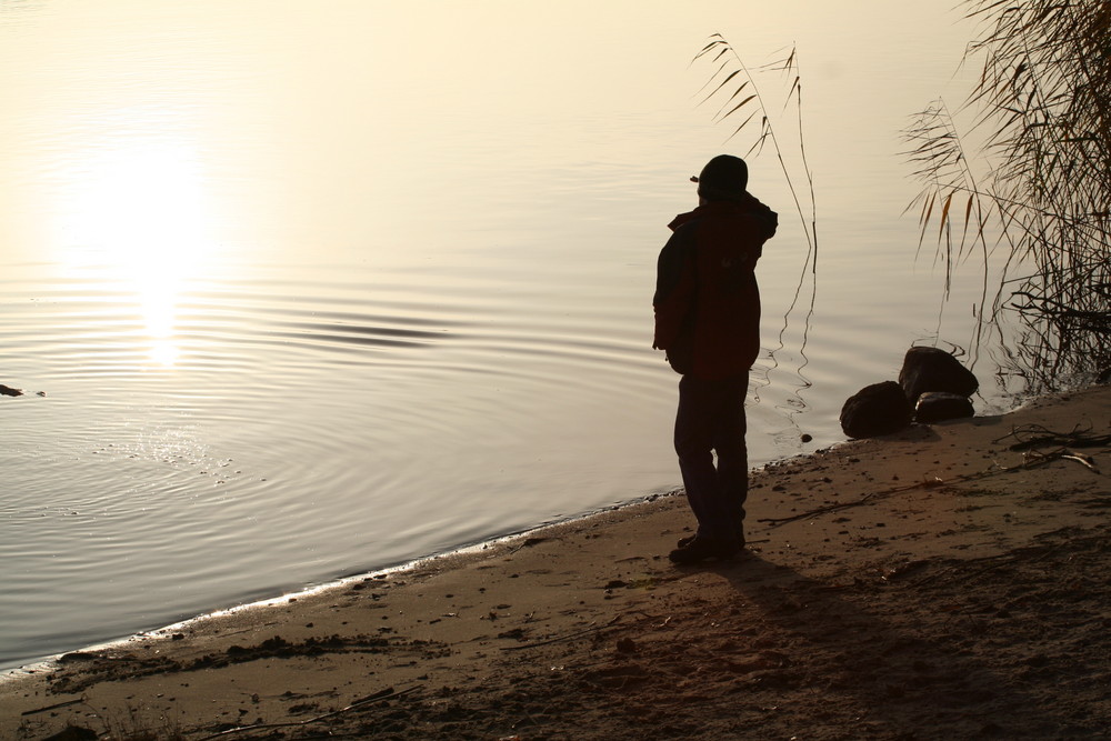 einsam an der Elbe