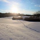 Einsam auf dem Golfplatz