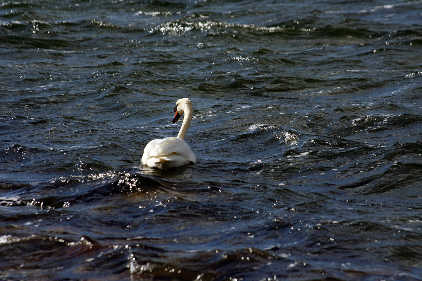 einsam auf´s Meer