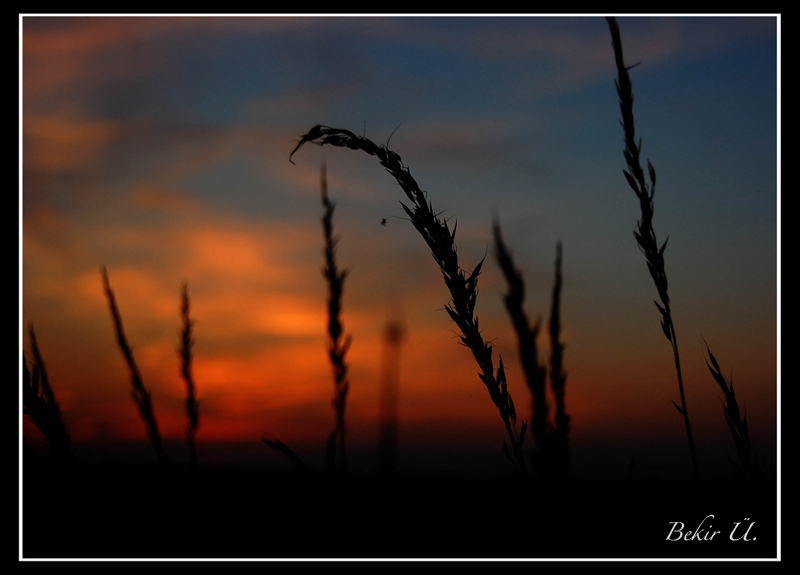 Einsam bei Sonnenuntergang..