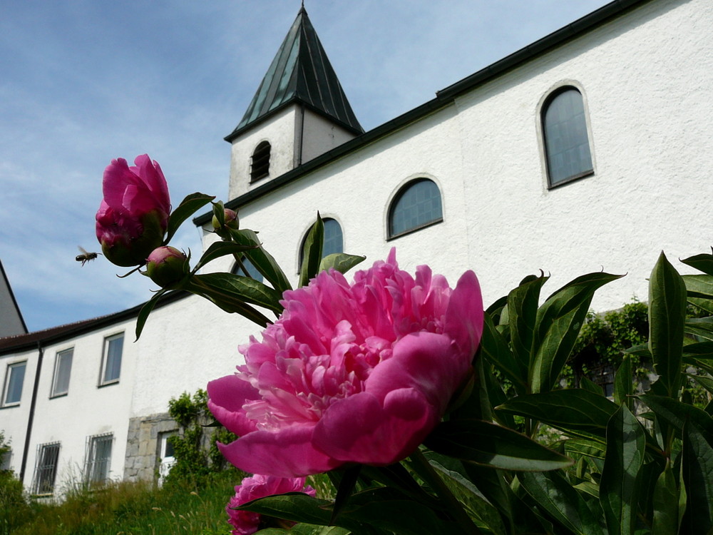 Einsam Bergfried