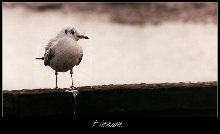 Einsam...