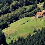 Einsam gelegenes Waldbauernhaus