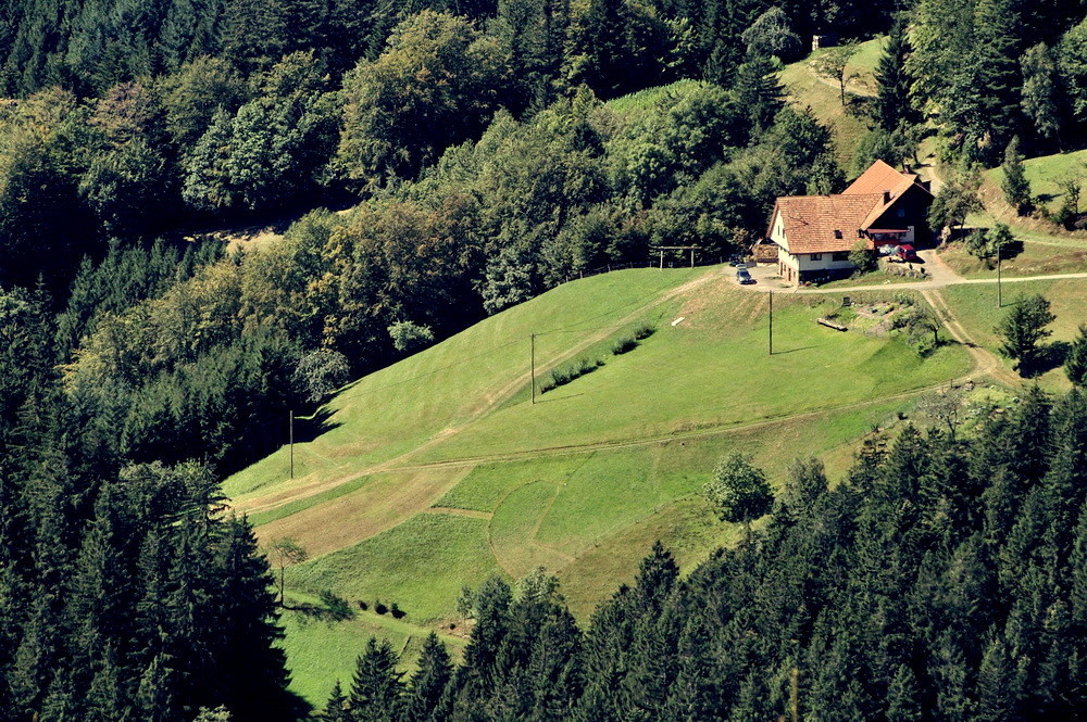 Einsam gelegenes Waldbauernhaus