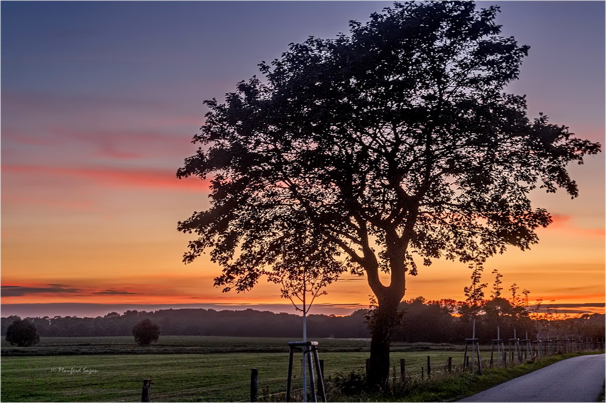 Einsam im Abendrot... 