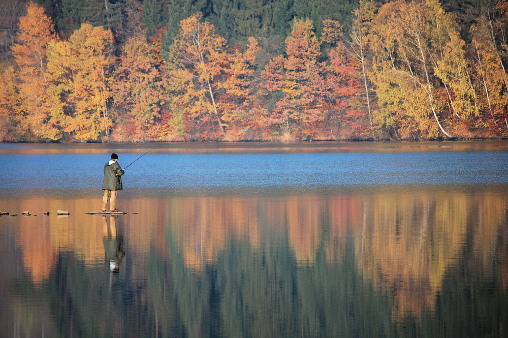 Einsam im Herbst