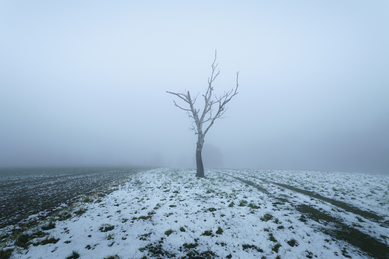 Einsam im Nebel