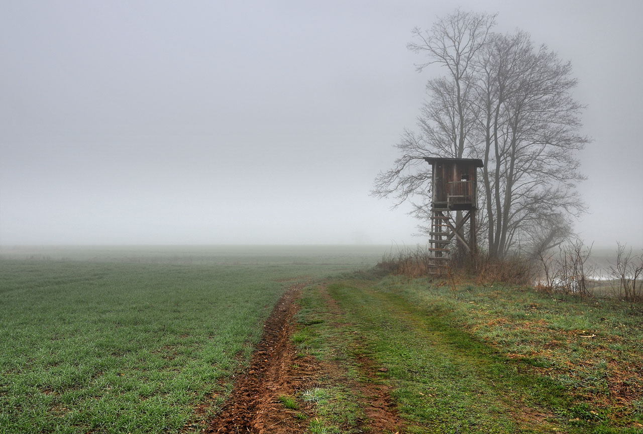 einsam im Nebel