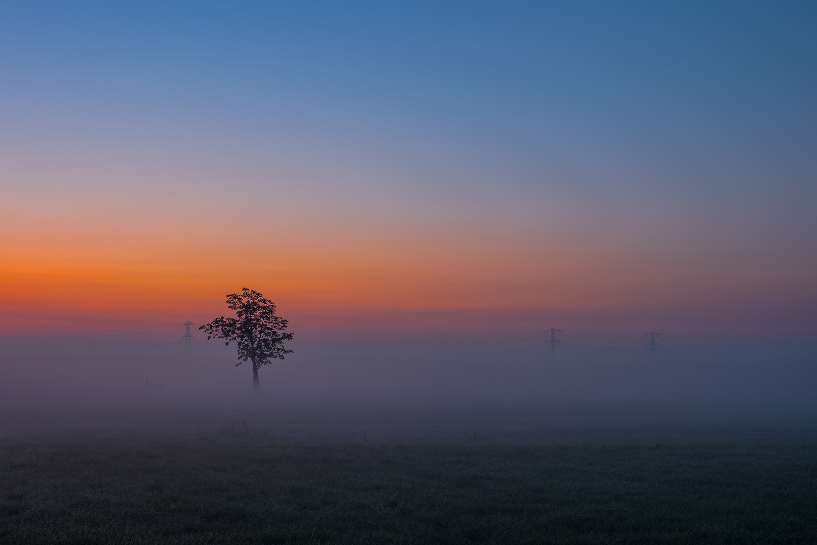 Einsam im Nebel