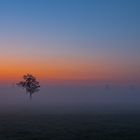 Einsam im Nebel