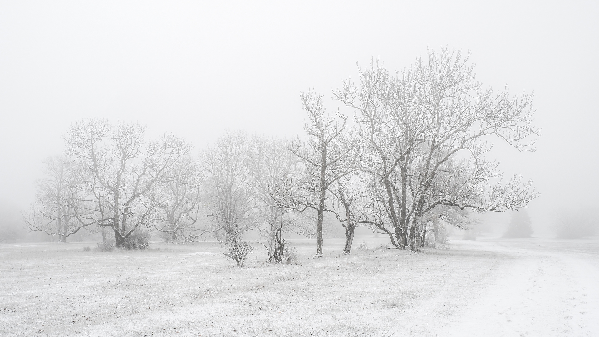 Einsam im Nebel zu wandern ... (2)