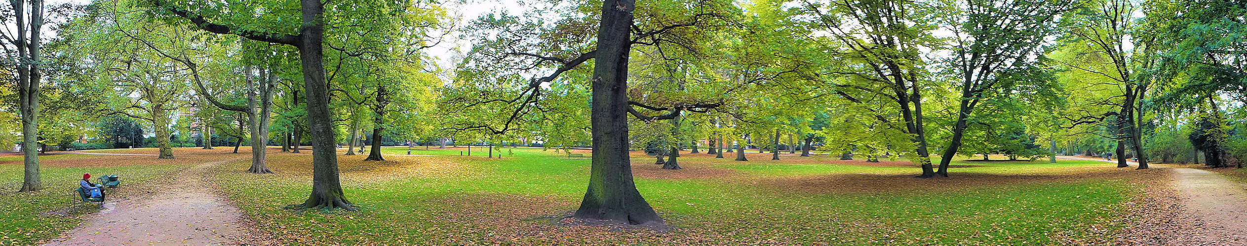 Einsam im Park