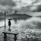 Einsam im Regen