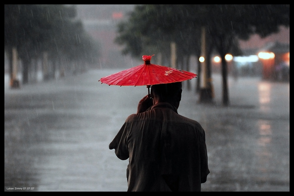 einsam im regen ...