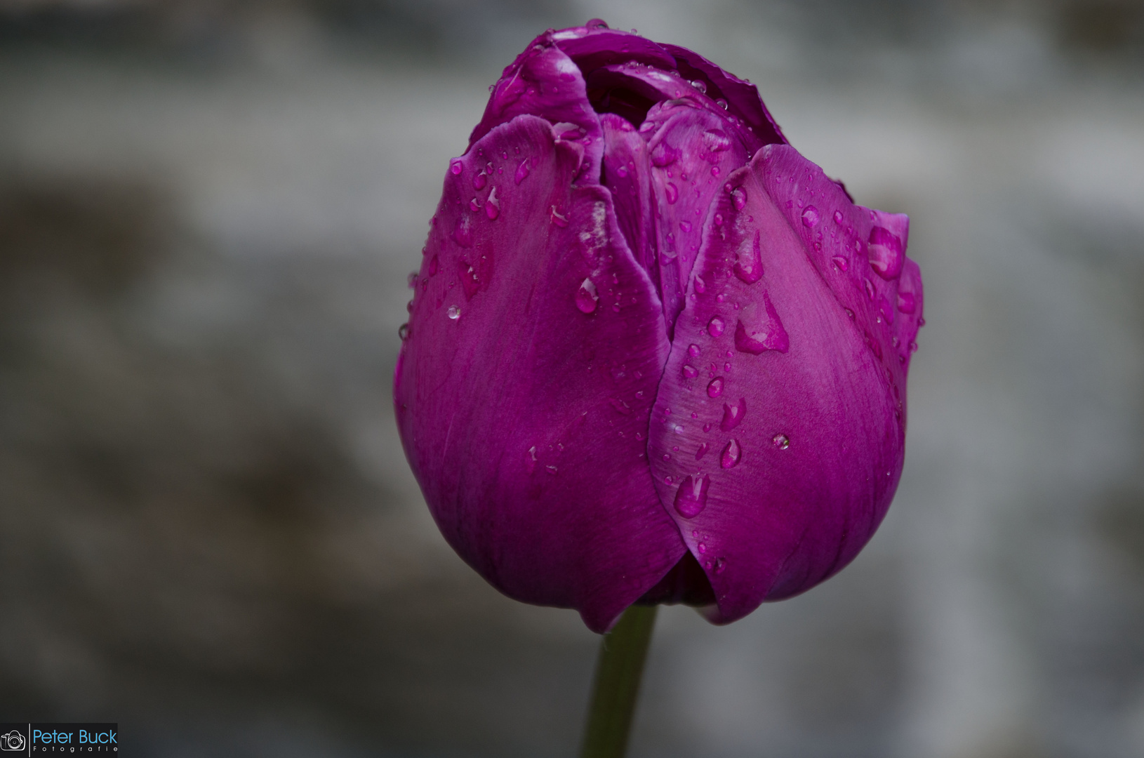 Einsam im Regen