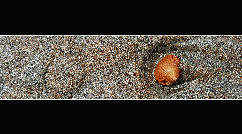 Einsam im Sand