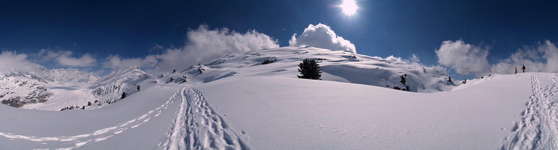 Einsam im Schnee....