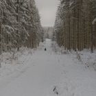 Einsam im Schnee (1 von 1)