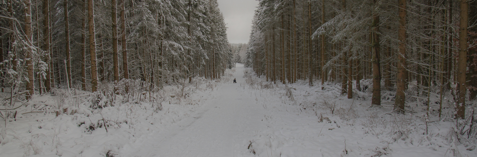 Einsam im Schnee (1 von 1)