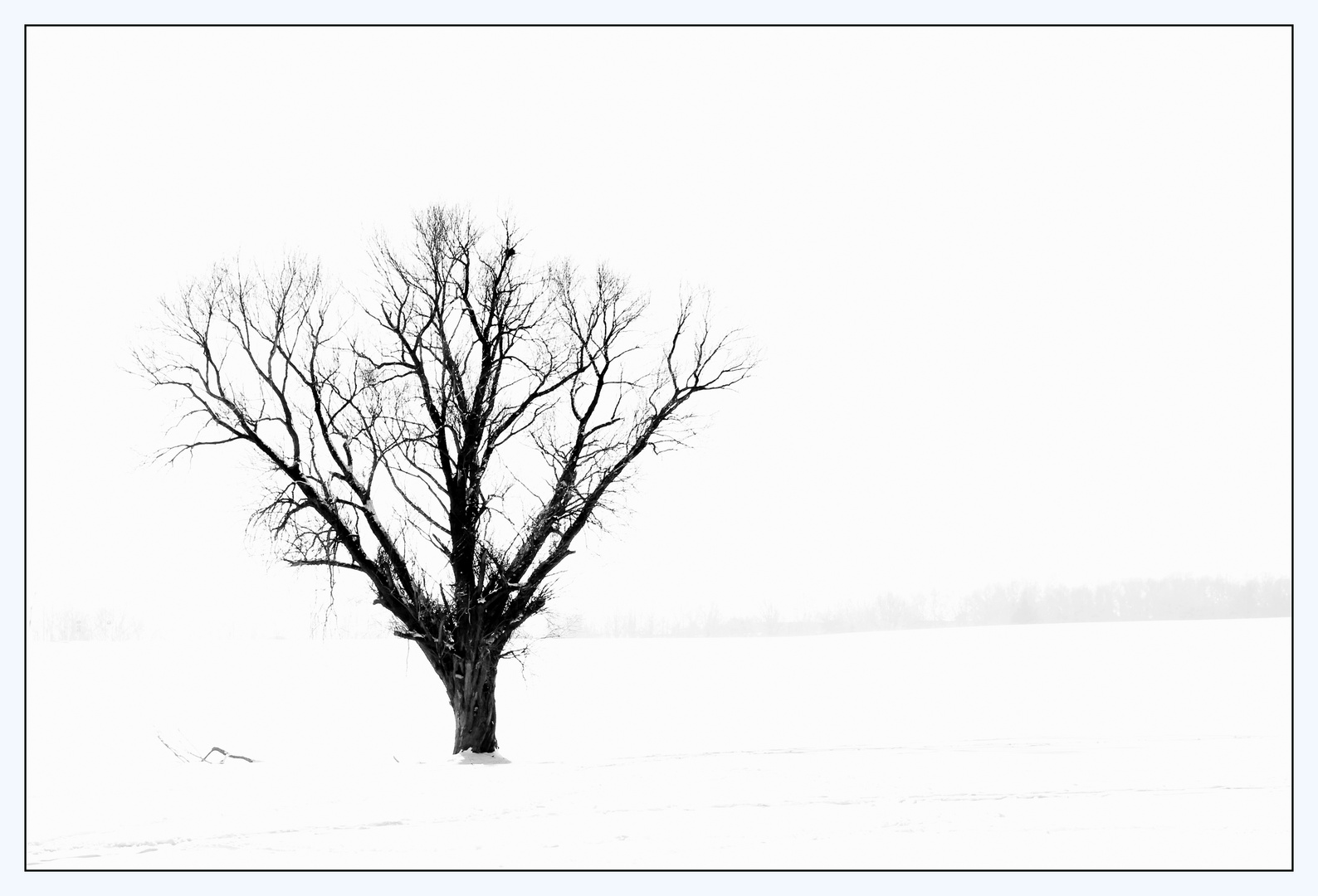 Einsam im Schnee