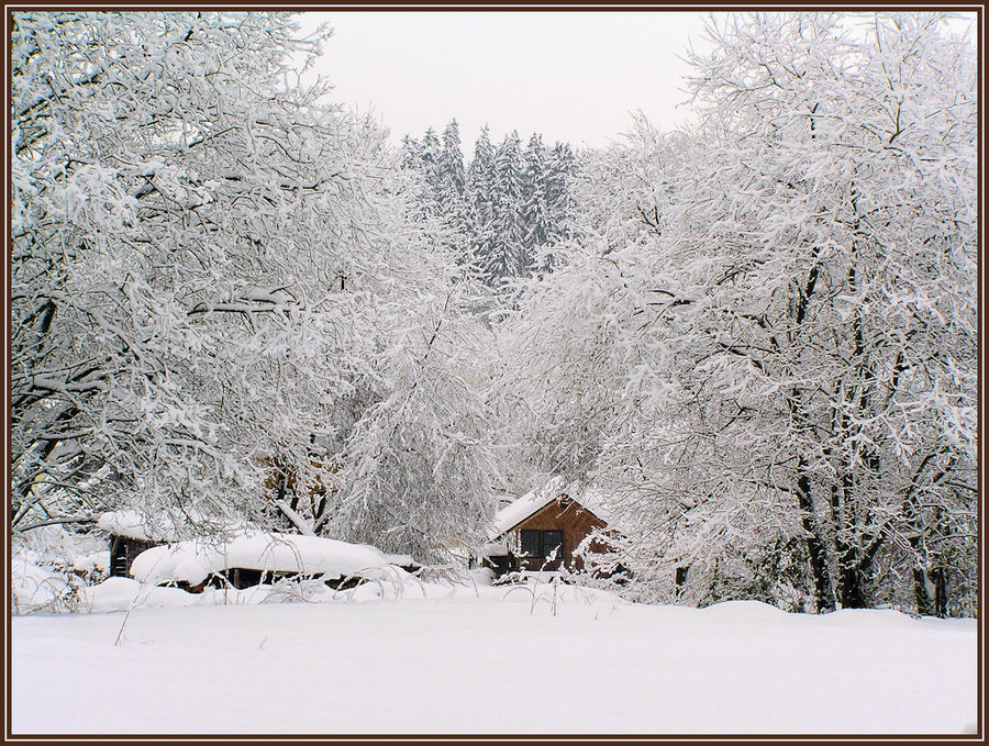 Einsam im Schnee...