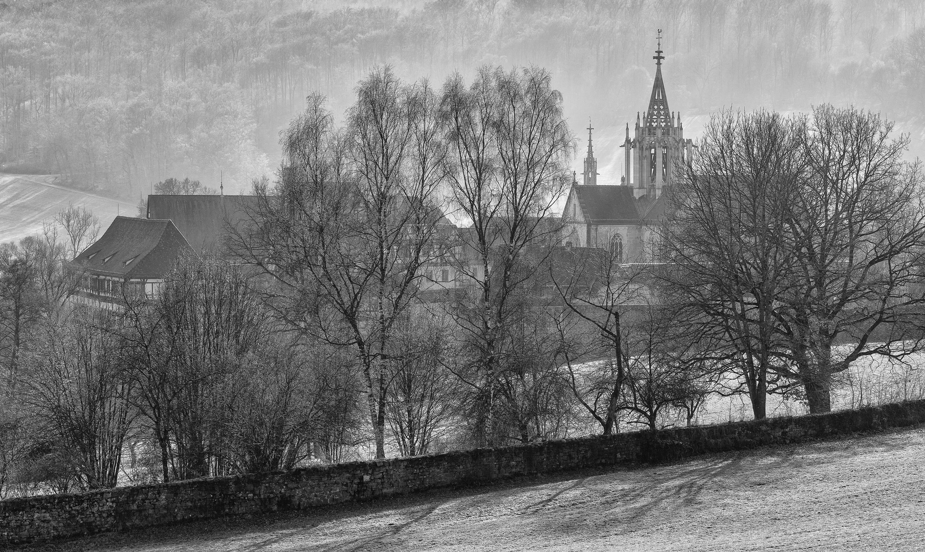 Einsam im Wald Foto & Bild wald, sonne, winter Bilder auf