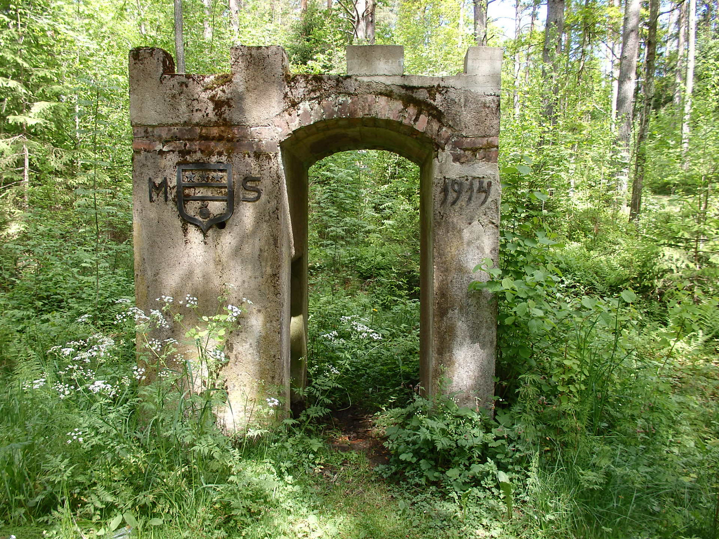 Einsam im Wald