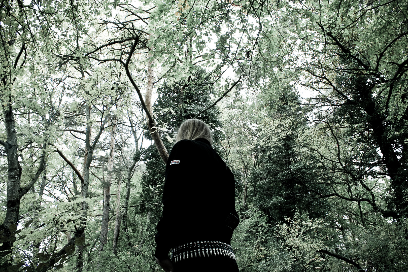 Einsam im Walde