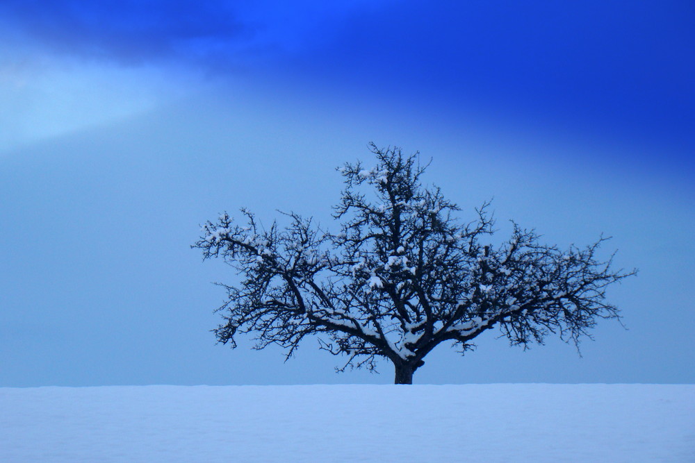 Einsam im Winter