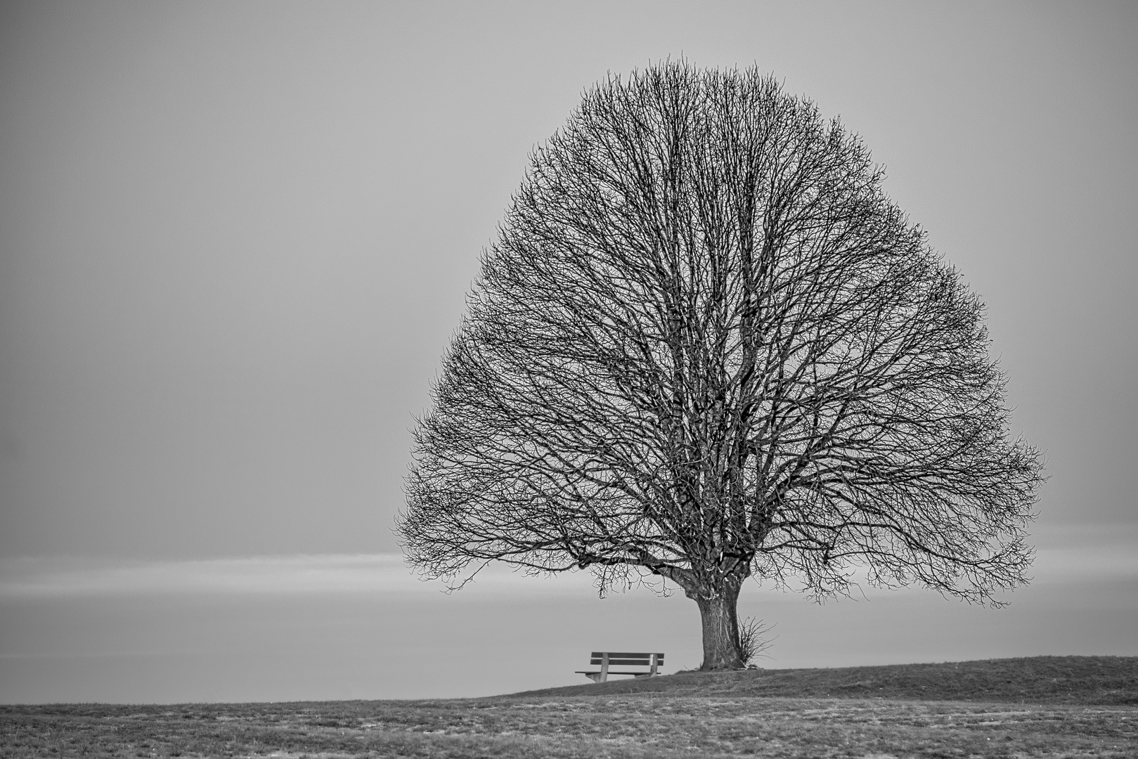 Einsam im Winter