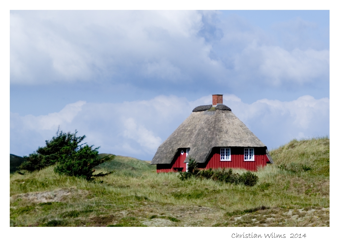 Einsam in den Dünen ......