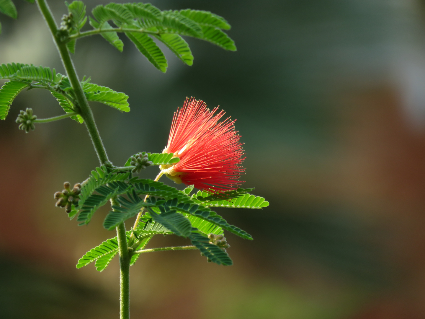 Einsam in der Natur 2