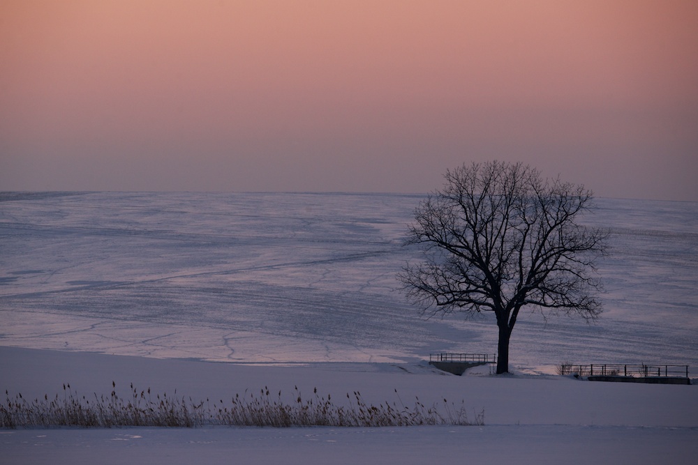 einsam in der Wintersonne