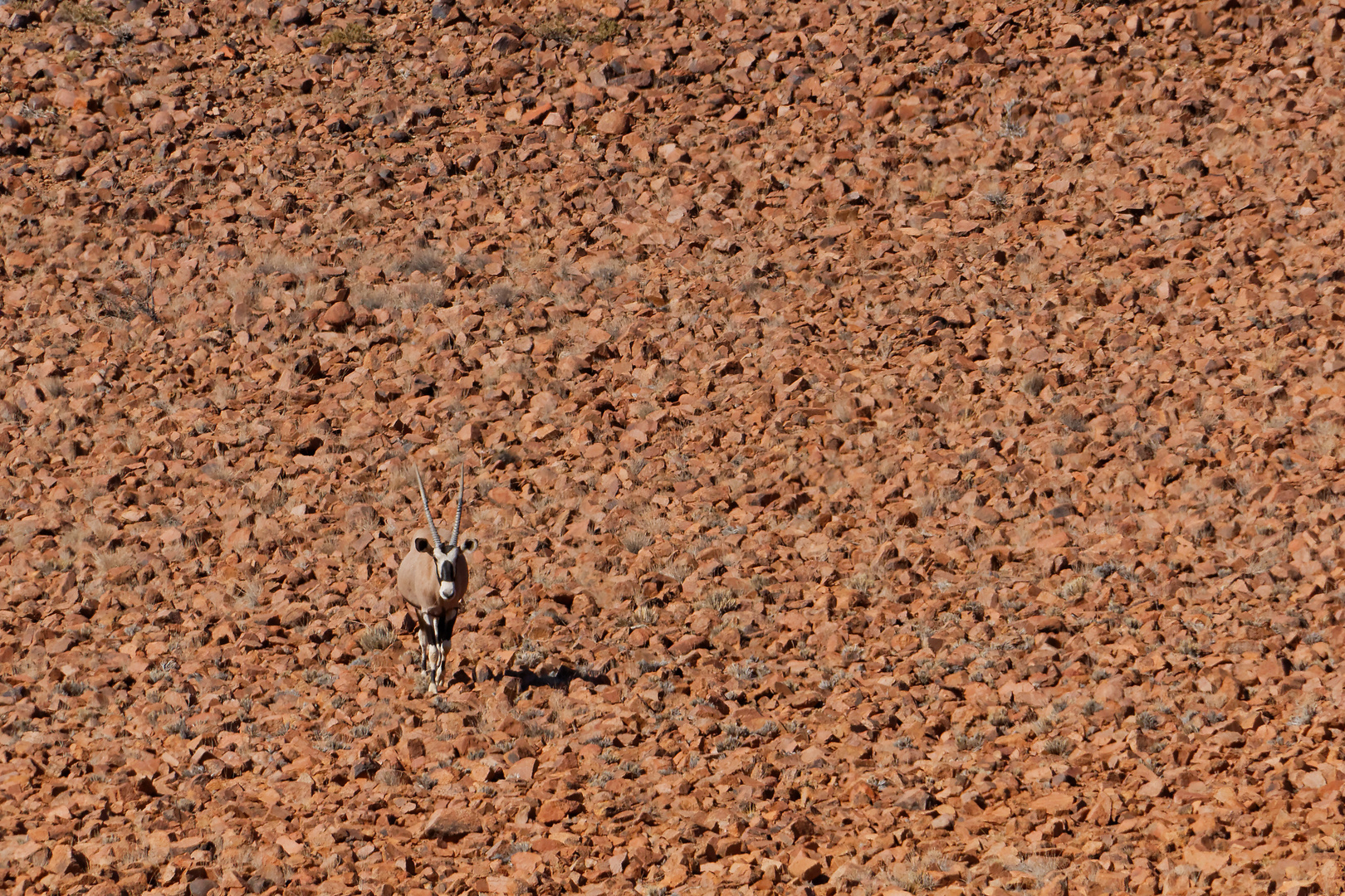 Einsam in Namibia