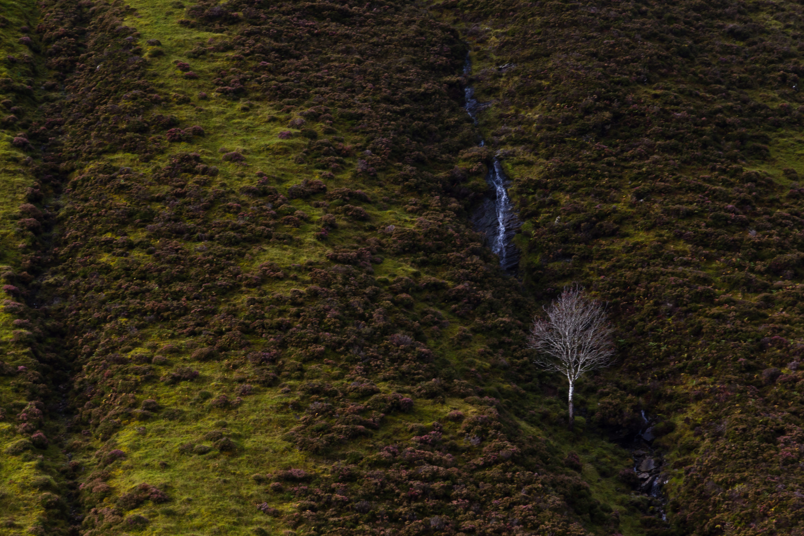 Einsam in Schottland