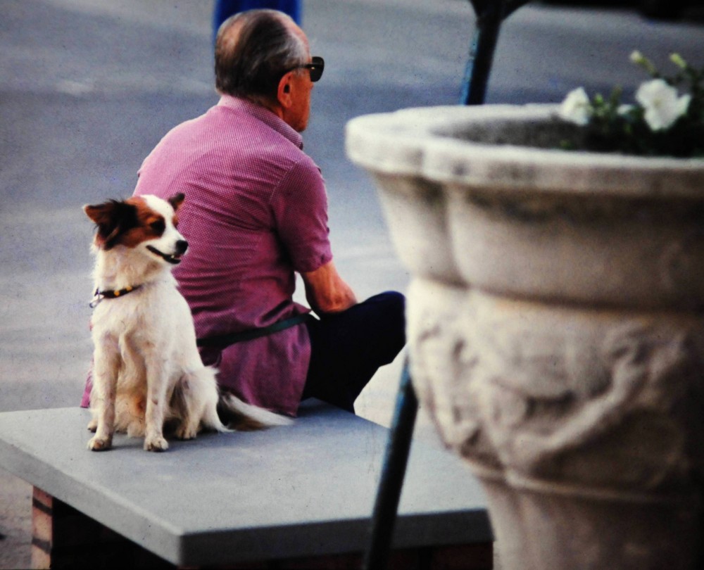 einsam mit Hund