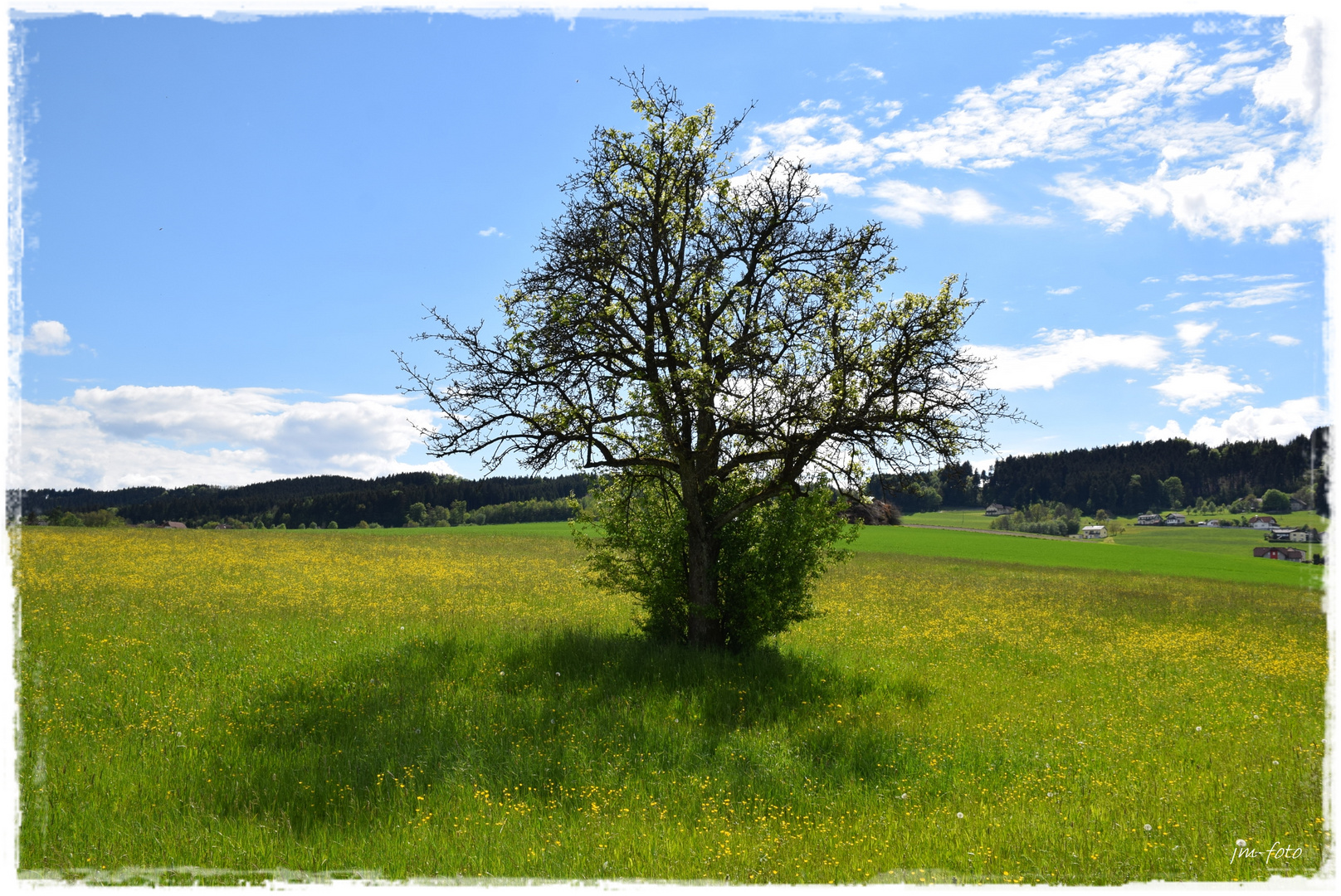 Einsam nur mit seinen Schatten