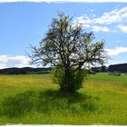 Einsam nur mit seinen Schatten