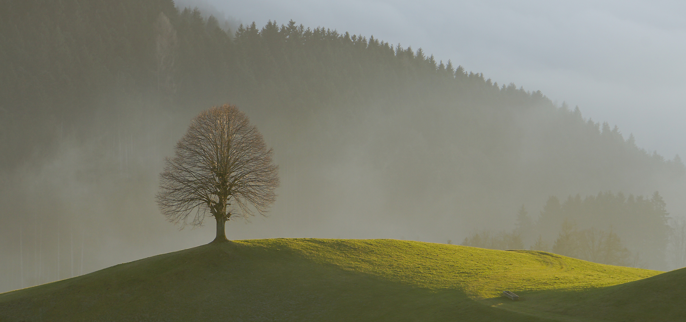 Einsam und allein ... aber im Licht 