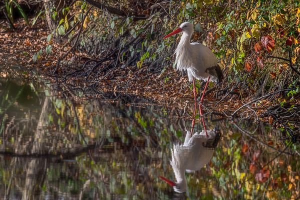 Einsam und doch zu Zweit ...