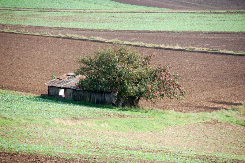 Einsam und verlassen