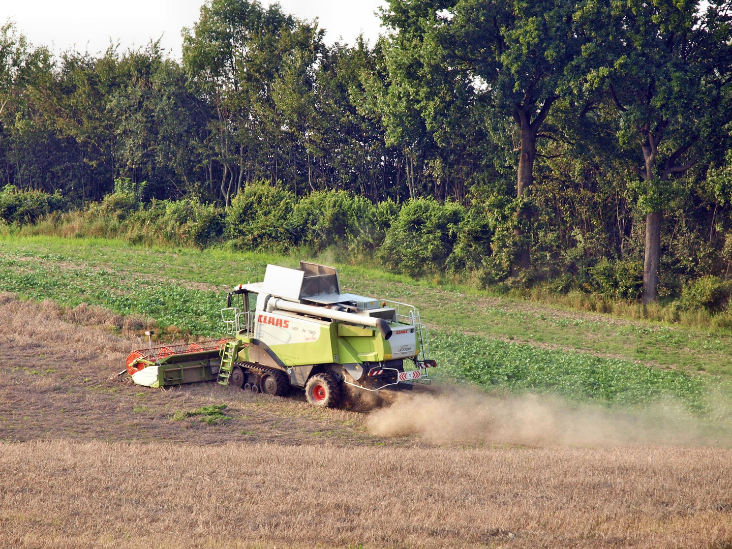 Einsam zieht der CLAAS LEXION 580 seine Runden ....